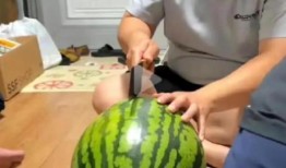 大型吃瓜现场,揭秘娱乐圈幕后风云